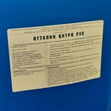 Эми ОТТАЛИН ЦИТРО жаңы чыгарылышта!